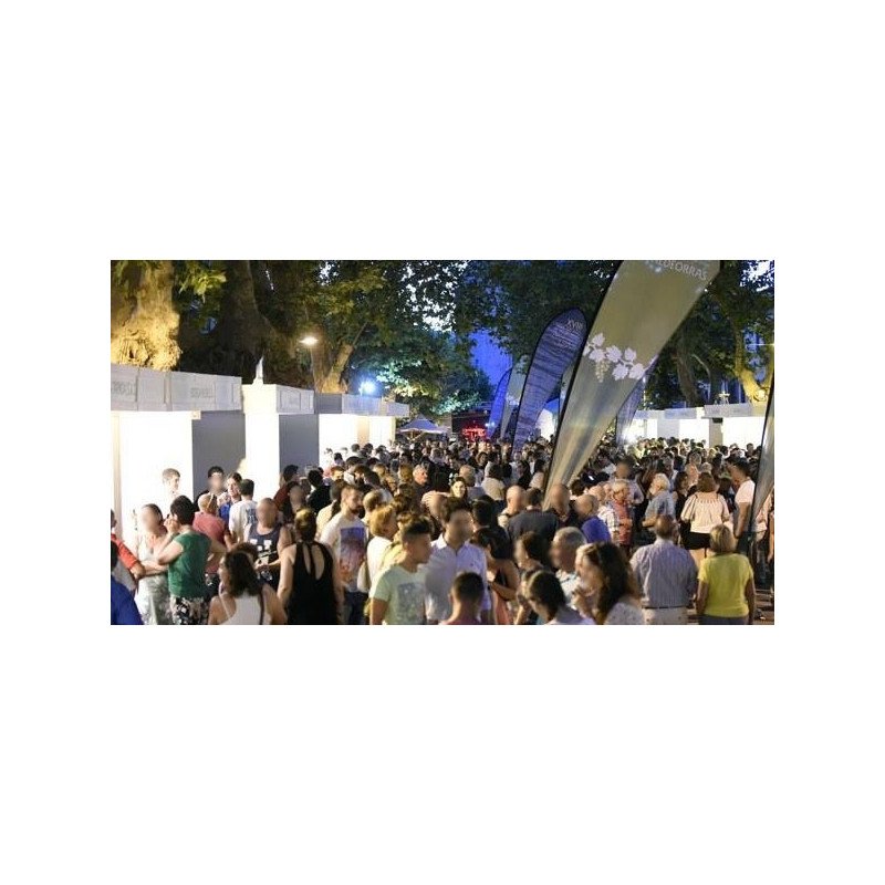 Bandera Modelo Lágrima-Gota XXL