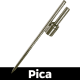 Pica